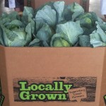 locally grouwn produce