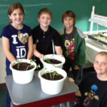 kids growing squash