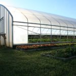 greenhouse