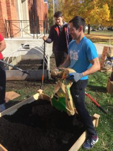 OSU student pouring bag of dirt into garden