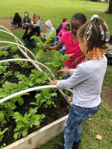 children standing over raised bed garden