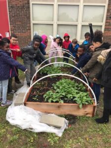 Group of kids standing around raised bed with plants growing