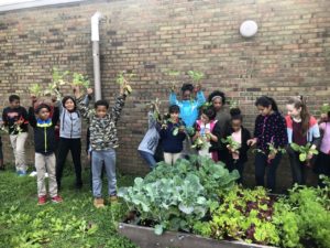 12 school age children standing behind raised bed garden holding plants they harvested