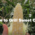 how to grill sweet corn