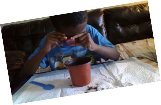 boy planting seed