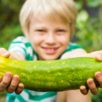Boy giving cucumber from garden. Focus on cucumber.