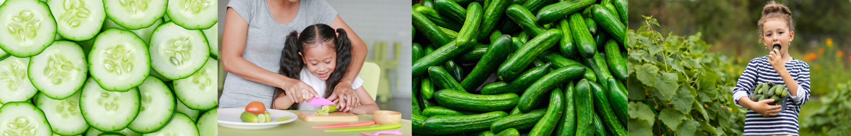Cucumber slices, cucumbers and kids eating cucumbers